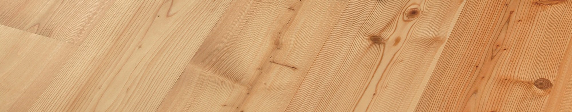 sibirsky-modrin_pastelky_1