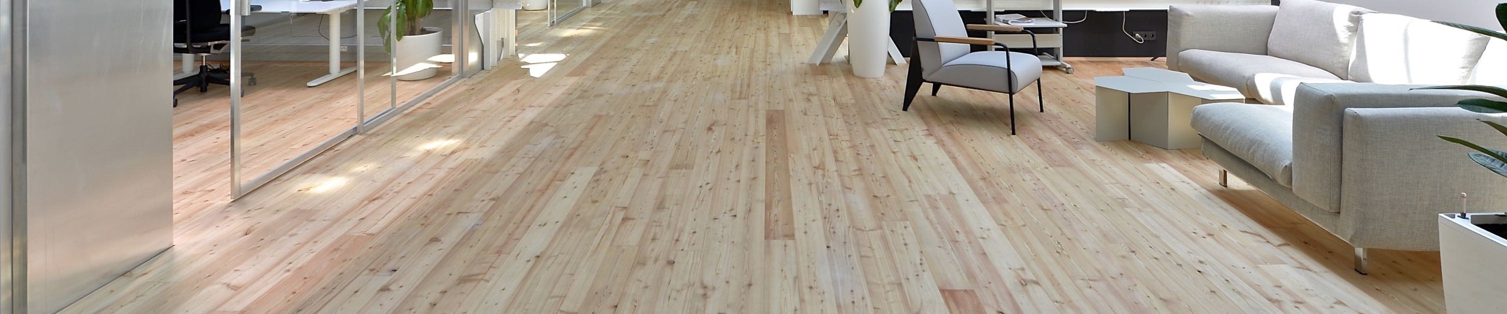 Apiari-Karlin-HAll-2_sibirsky_modrin-C-industrial_1