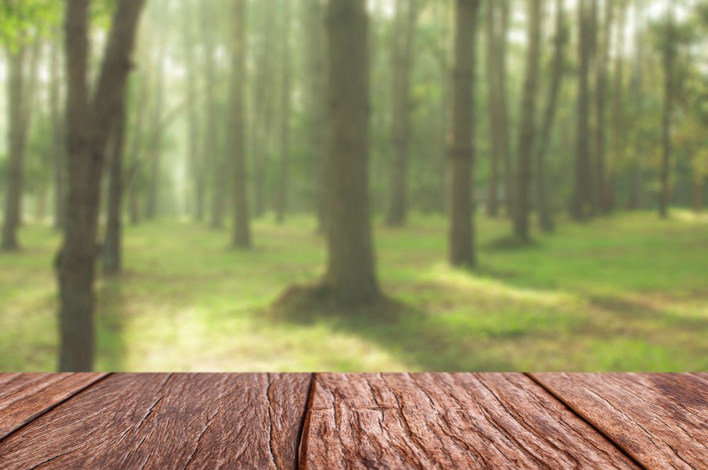 Masivní dřevo z certifikovaných lesů