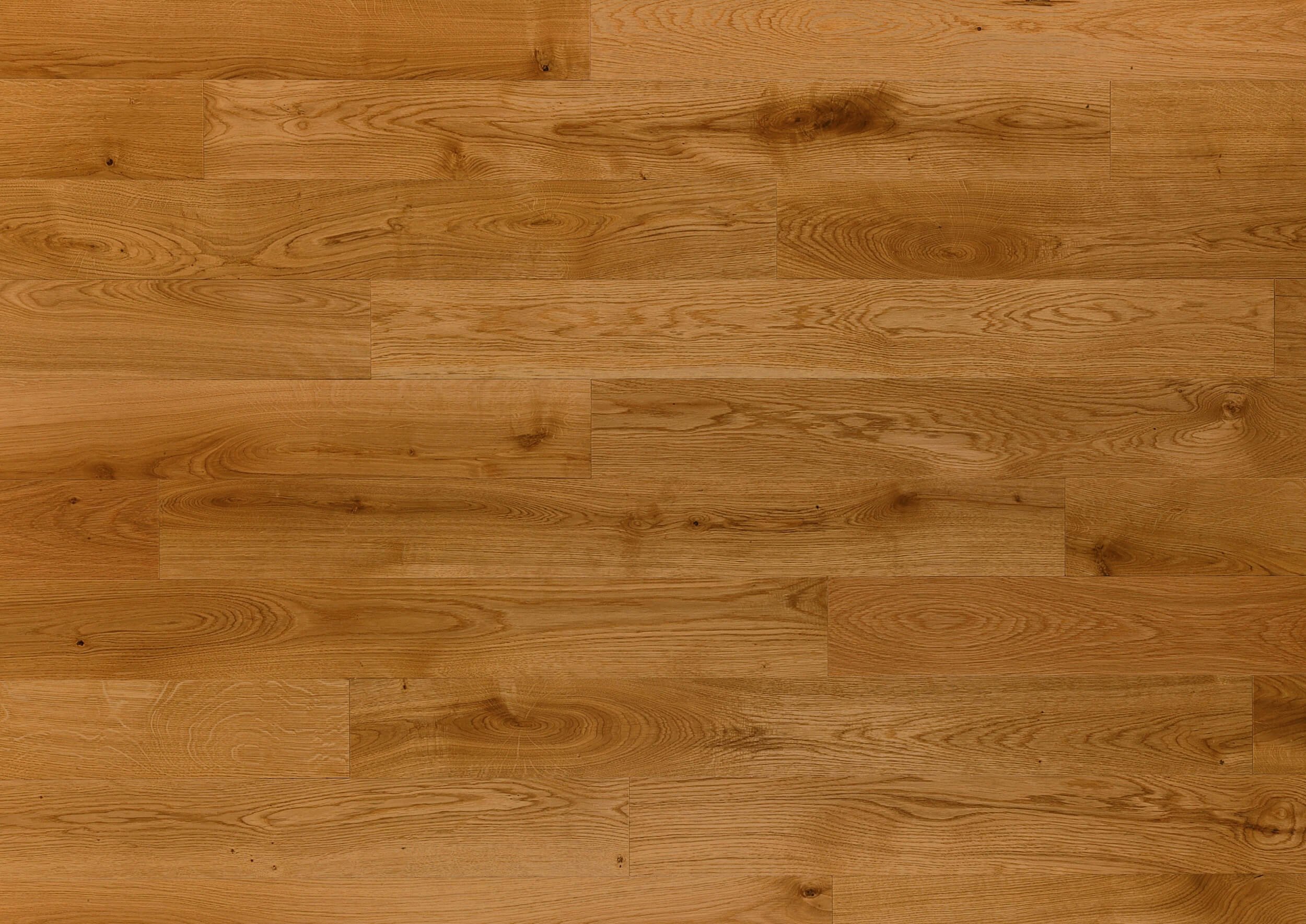 Dub_Natur-1_1 Dub_Natur-1_1