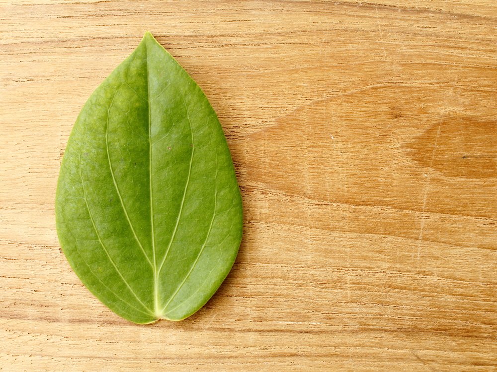 Masivní dřevěná podlaha