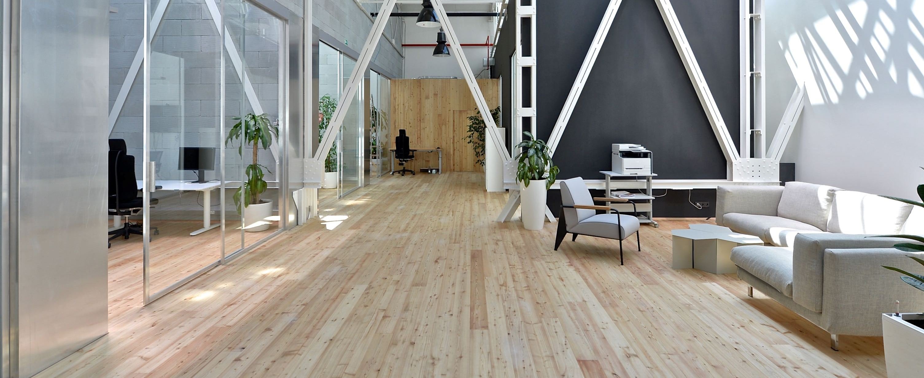 slider-web-modrin-sibirsky