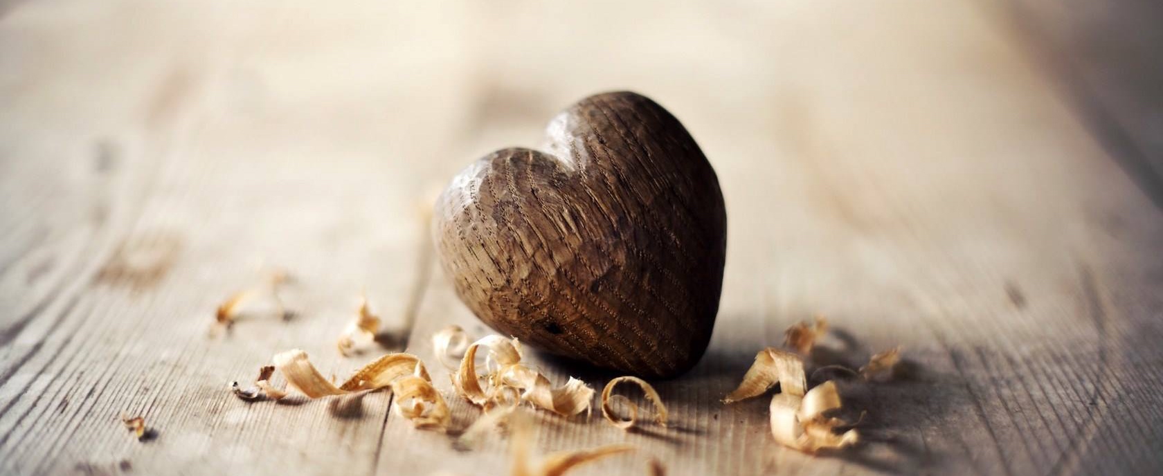 11174701_565484066924297_6127795160322619106_o_1